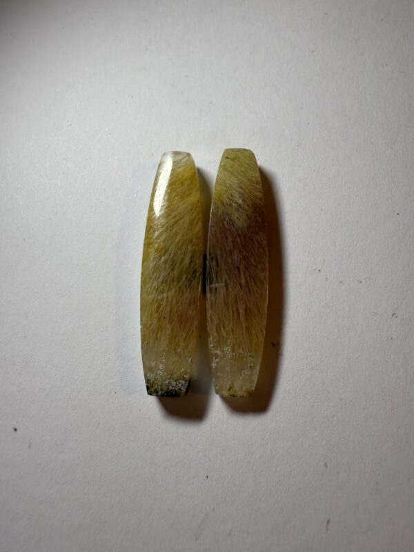 Fossil sea grass agate Pair (875)