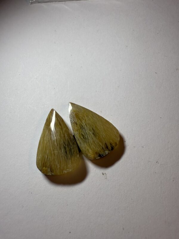 Fossil sea grass agate (874)