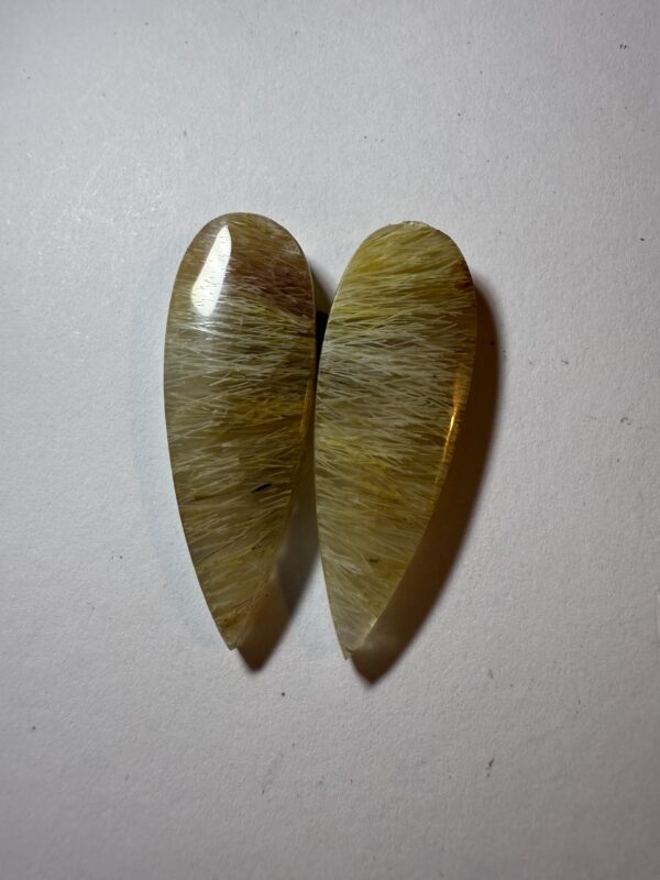 Fossil sea grass agate (871)