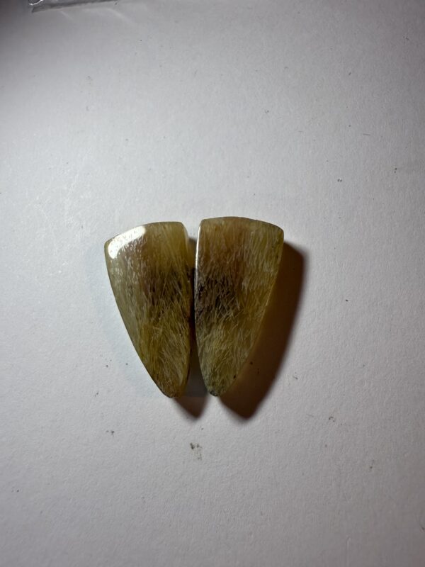 Fossil sea grass agate  (872)
