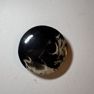 Fossil Palm Root (948)